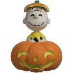 Youtooz Peanuts Pumpkin Patch Charlie Brown Image 1