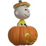 Youtooz Peanuts Pumpkin Patch Charlie Brown Image 2