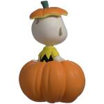 Youtooz Peanuts Pumpkin Patch Charlie Brown Image 3