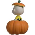 Youtooz Peanuts Pumpkin Patch Charlie Brown Image 4