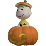 Youtooz Peanuts Pumpkin Patch Charlie Brown Image 5