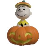 Youtooz Peanuts Pumpkin Patch Charlie Brown Image 6