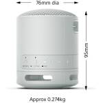 Sony SRS-XB100 Bluetooth Speaker Light Gray Image 2