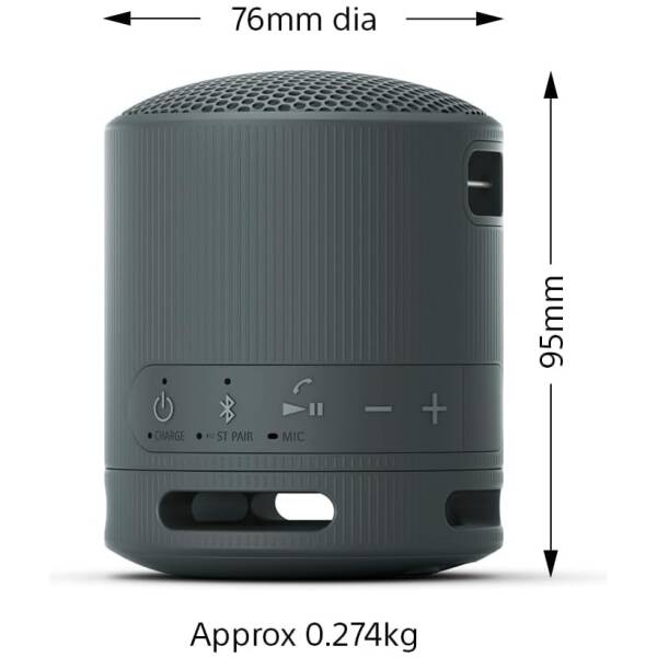 Sony SRS-XB100 Bluetooth Speaker Black Image 2