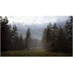 Hunting Simulator 2 PS5 Image 2