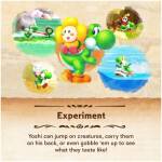 Yoshi and the Mysterious Book NS2 Image 5