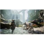 Beast of Reincarnation Deluxe Edition PS5 Image 5