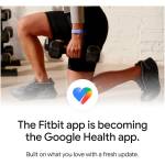Google Fitbit Air Black Image 2