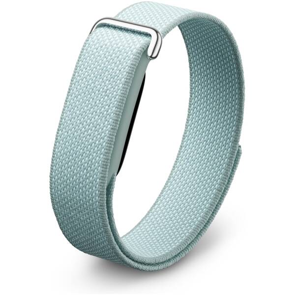 Google Fitbit Air Fog Image 1